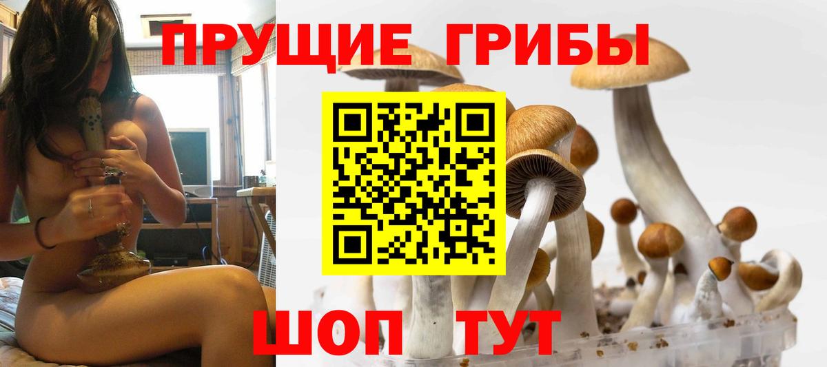 Галлюциногенные грибы Cubensis  Вход с VPN  Родники 